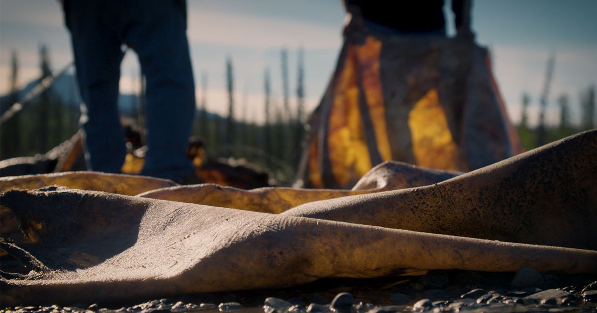 River of Bad Hides Bad Blood